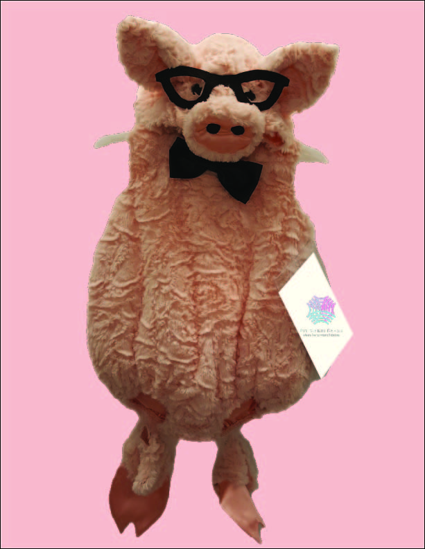 custom children's pig costume